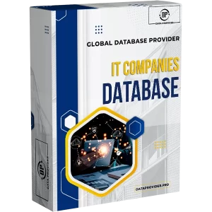 IT Companies Database